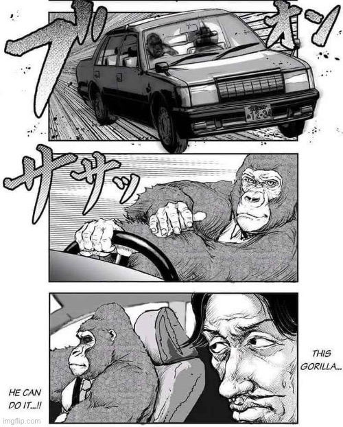 image tagged in gorilla,harambe,car,memes | made w/ Imgflip meme maker