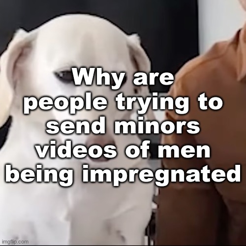 uh | Why are people trying to send minors videos of men being impregnated | image tagged in uh | made w/ Imgflip meme maker