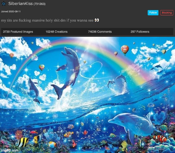 image tagged in happy dolphin rainbow | made w/ Imgflip meme maker