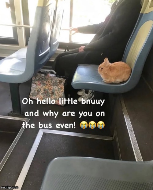 gub | made w/ Imgflip meme maker