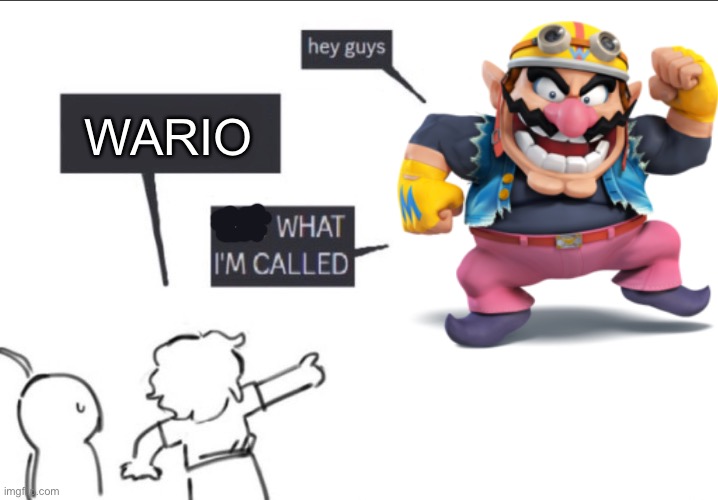 Not what im called | WARIO | image tagged in not what im called | made w/ Imgflip meme maker