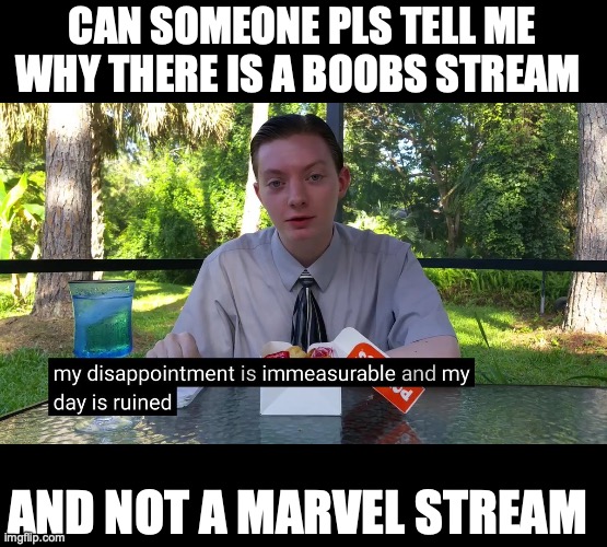 wtf is wrong with humanity | CAN SOMEONE PLS TELL ME WHY THERE IS A BOOBS STREAM; AND NOT A MARVEL STREAM | image tagged in my disappointment is immeasurable,marvel,are you serious,oh wow are you actually reading these tags,funny memes,funny | made w/ Imgflip meme maker