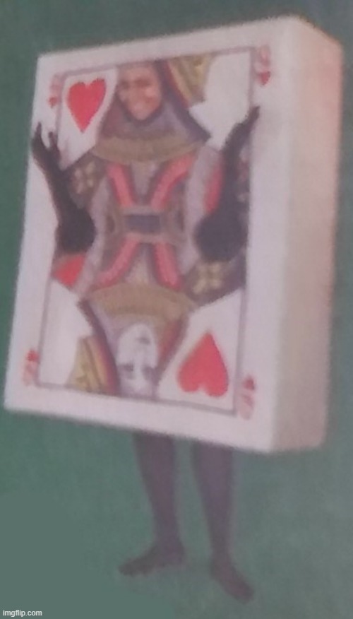 High Quality The card lady Blank Meme Template