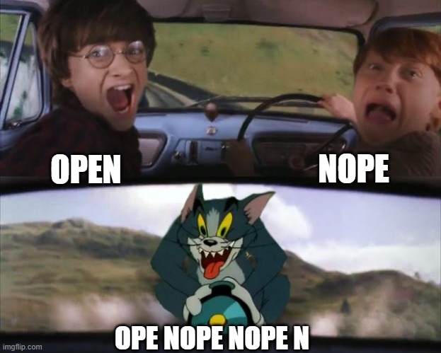 Tom chasing Harry and Ron Weasly | OPEN NOPE OPE NOPE NOPE N | image tagged in tom chasing harry and ron weasly | made w/ Imgflip meme maker