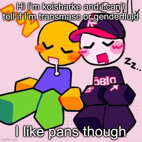 guest & noob i think | Hi I’m koisharke and i can’t tell if I’m transmasc or genderfluid; I like pans though | image tagged in guest noob i think | made w/ Imgflip meme maker