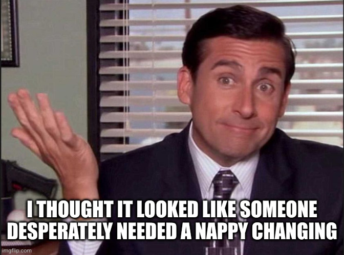 Michael Scott | I THOUGHT IT LOOKED LIKE SOMEONE DESPERATELY NEEDED A NAPPY CHANGING | image tagged in michael scott | made w/ Imgflip meme maker