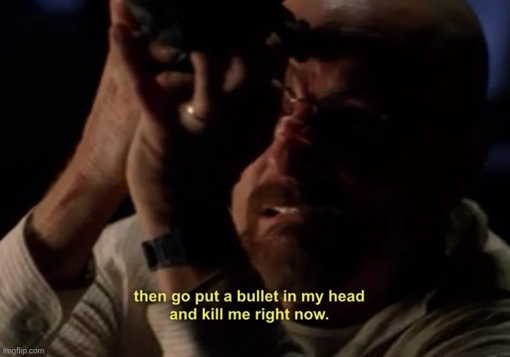 Kill me right now | image tagged in kill me right now | made w/ Imgflip meme maker
