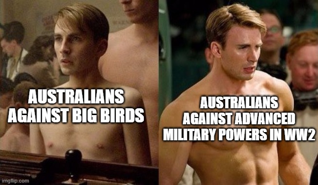 how did the australian government lose to emus? | AUSTRALIANS AGAINST ADVANCED MILITARY POWERS IN WW2; AUSTRALIANS AGAINST BIG BIRDS | image tagged in steve rogers before and after,captain america,marvel,lol so funny,memes,australia | made w/ Imgflip meme maker