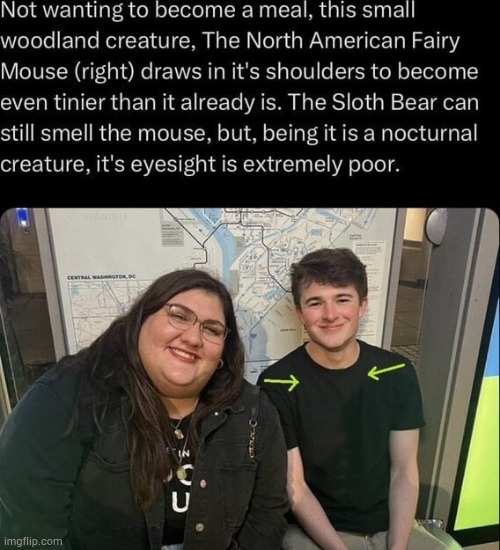 ai essay | made w/ Imgflip meme maker