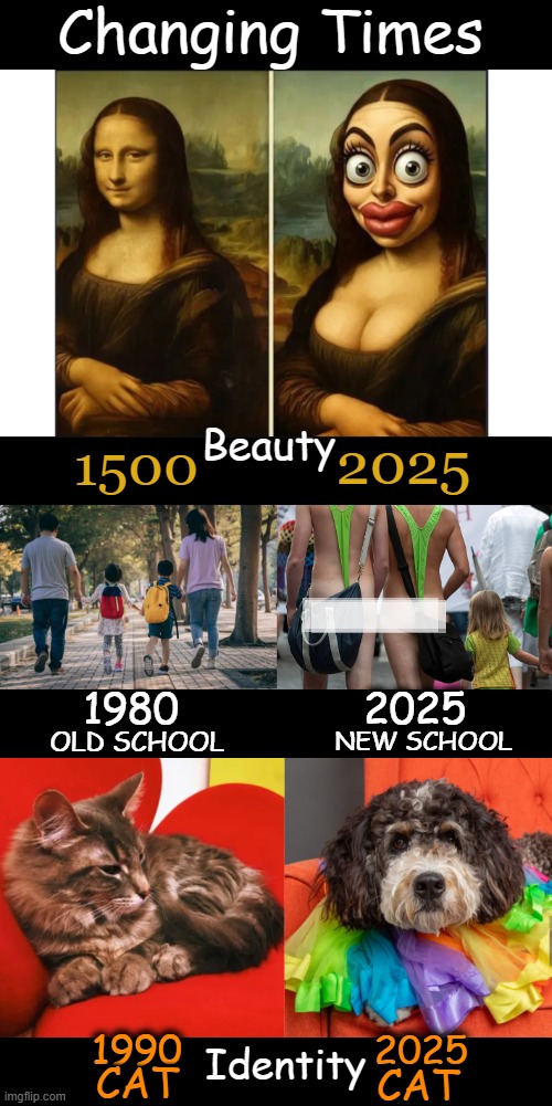 Modern Problems Morphing Into Mental Health Issues? | Changing Times; Beauty; 2025; 1500; 1980; 2025; OLD SCHOOL; NEW SCHOOL; 2025; 1990; Identity; CAT; CAT | image tagged in modern problems require modern solutions,mental health,yesterday,today,political humor,mental illness | made w/ Imgflip meme maker