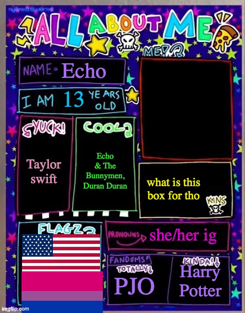 BRING ON THE GAY | Echo; 13; Echo & The Bunnymen, Duran Duran; Taylor swift; what is this box for tho; she/her ig; PJO; Harry Potter | image tagged in all about me og temp by jade | made w/ Imgflip meme maker