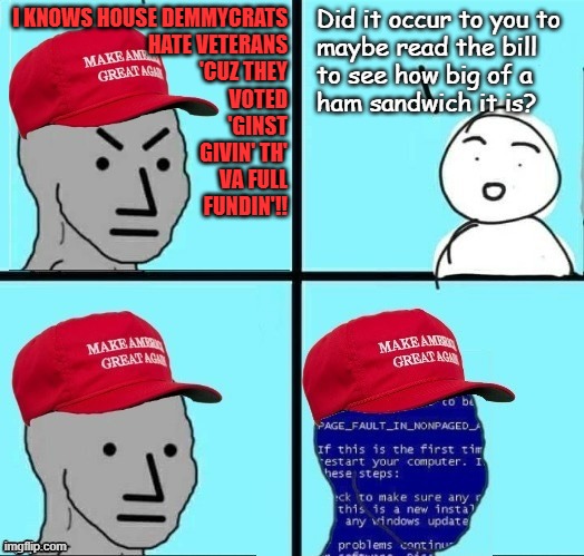 If you haven't read the bill, maybe shut your imbecile mouth about what motivated votes on the House floor until after you have. | I KNOWS HOUSE DEMMYCRATS
HATE VETERANS
'CUZ THEY
VOTED
'GINST
GIVIN' TH'
VA FULL
FUNDIN'!! Did it occur to you to
maybe read the bill
to see how big of a
ham sandwich it is? | image tagged in civic engagement,skip the talking points,reading is fundamental,the more you know,idiotic maga simplisms | made w/ Imgflip meme maker