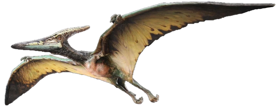Pteranodon (JP3 Design) Blank Meme Template