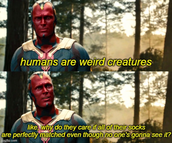 Take note, humans | humans are weird creatures; like, why do they care if all of their socks are perfectly matched even though no one's gonna see it? | image tagged in well i was born yesterday,vision,avengers,marvel,socks,lol so funny | made w/ Imgflip meme maker