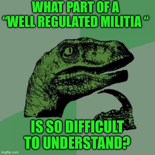 Philosoraptor | WHAT PART OF A “WELL REGULATED MILITIA “; IS SO DIFFICULT TO UNDERSTAND? | image tagged in memes,philosoraptor | made w/ Imgflip meme maker