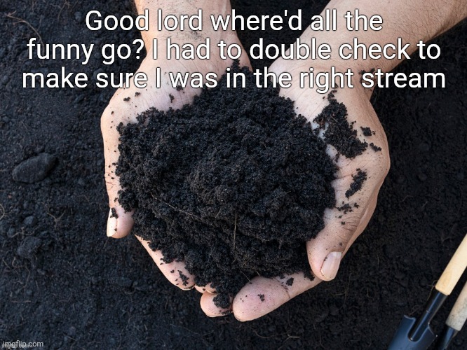 LOAM | Good lord where'd all the funny go? I had to double check to make sure I was in the right stream | image tagged in loam | made w/ Imgflip meme maker