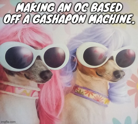 Groovy dawgs | MAKING AN OC BASED OFF A GASHAPON MACHINE. | image tagged in groovy dawgs | made w/ Imgflip meme maker