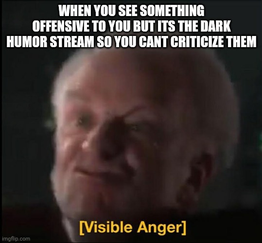 visible anger | WHEN YOU SEE SOMETHING OFFENSIVE TO YOU BUT ITS THE DARK HUMOR STREAM SO YOU CANT CRITICIZE THEM | image tagged in visible anger | made w/ Imgflip meme maker