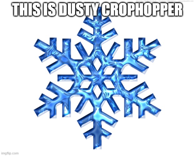 Snowflake | THIS IS DUSTY CROPHOPPER | image tagged in snowflake | made w/ Imgflip meme maker