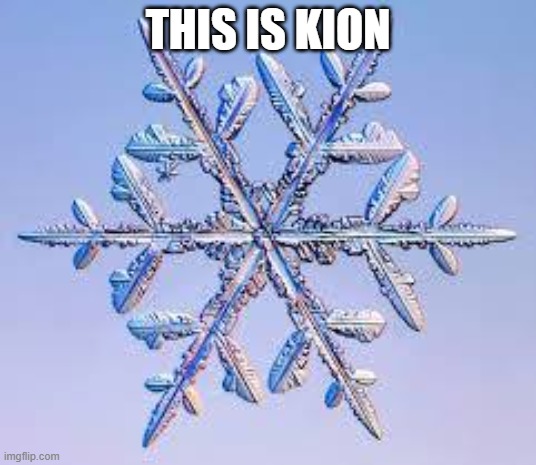 Snowflake | THIS IS KION | image tagged in snowflake | made w/ Imgflip meme maker