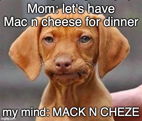 Vro since I saw the top meme I've been cursed | Mom: let's have Mac n cheese for dinner; my mind: MACK N CHEZE | image tagged in frustrated dog,ship,fake,real,tags,fuck you | made w/ Imgflip meme maker