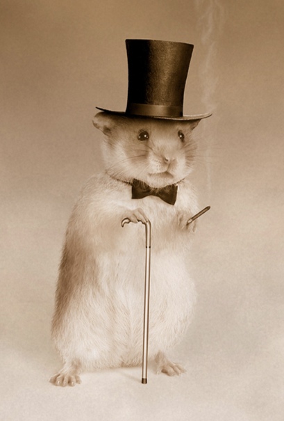 Gentlemen Hamster Blank Meme Template