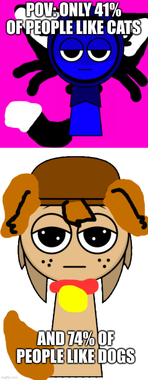 how many people have thesee pets | POV: ONLY 41% OF PEOPLE LIKE CATS; AND 74% OF PEOPLE LIKE DOGS | image tagged in blank hot pink background,tunner tan,jevin,dogs and cats,animals,pets | made w/ Imgflip meme maker
