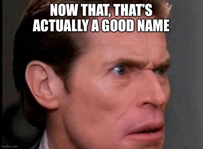 NOW THAT, THAT’S ACTUALLY A GOOD NAME | made w/ Imgflip meme maker