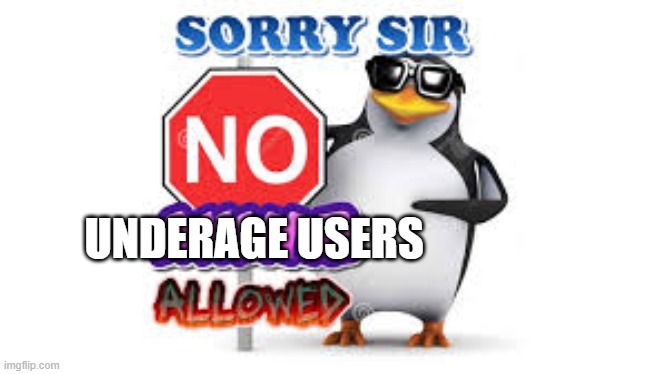 sorry sir no underage users allowed (remember, you can't call someone underage just because you don't like them) | UNDERAGE USERS | image tagged in no anime allowed,age | made w/ Imgflip meme maker