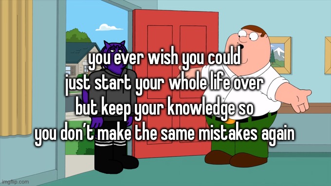 what is family guy even about | you ever wish you could just start your whole life over but keep your knowledge so you don’t make the same mistakes again | image tagged in what is family guy even about | made w/ Imgflip meme maker