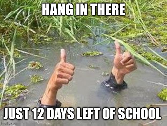 sinking | HANG IN THERE; JUST 12 DAYS LEFT OF SCHOOL | image tagged in sinking | made w/ Imgflip meme maker