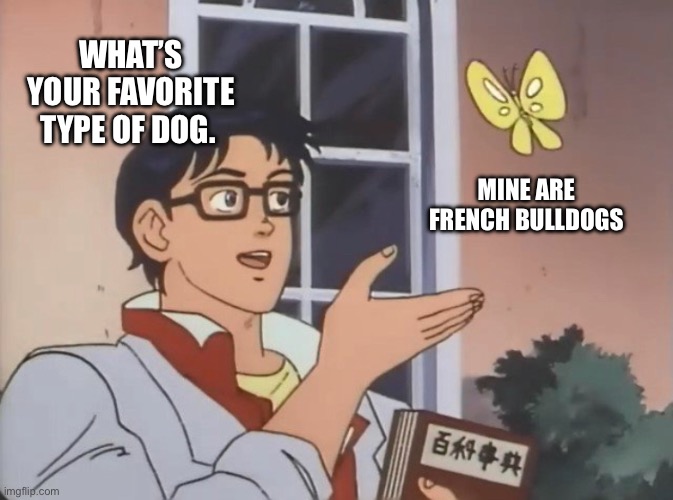 Is this a bird? | WHAT’S YOUR FAVORITE TYPE OF DOG. MINE ARE FRENCH BULLDOGS | image tagged in is this a bird | made w/ Imgflip meme maker