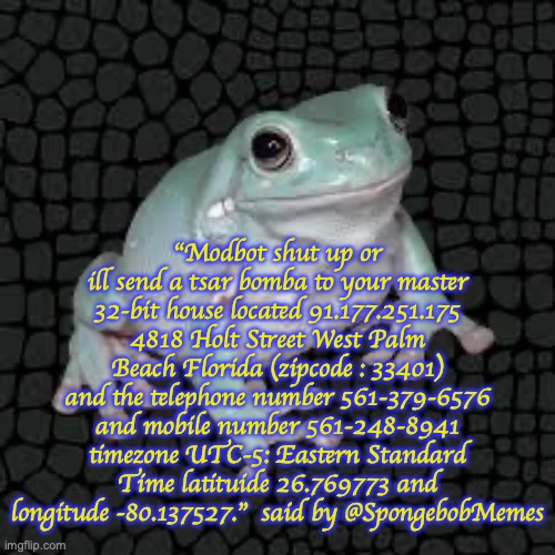 Just read it all, it's worth it | "Modbot shut up or ill send a tsar bomba to your master 32-bit house located 91.177.251.175 4818 Holt Street West Palm Beach Florida (zipcode : 33401) and the telephone number 561-379-6576 and mobile number 561-248-8941 timezone UTC-5: Eastern Standard Time latituide 26.769773 and longitude -80.137527."  said by @SpongebobMemes | image tagged in white's tree frog | made w/ Imgflip meme maker
