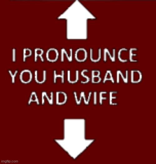 I pronounce you husband and wife | image tagged in i pronounce you husband and wife | made w/ Imgflip meme maker