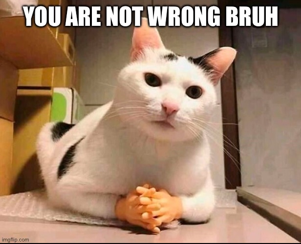 YOU ARE NOT WRONG BRUH | made w/ Imgflip meme maker