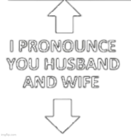 I pronounce you husband and wife | image tagged in i pronounce you husband and wife | made w/ Imgflip meme maker