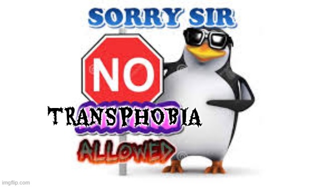 sorry sir no transphobia allowed | TRANSPHOBIA | image tagged in no anime allowed,transphobic | made w/ Imgflip meme maker