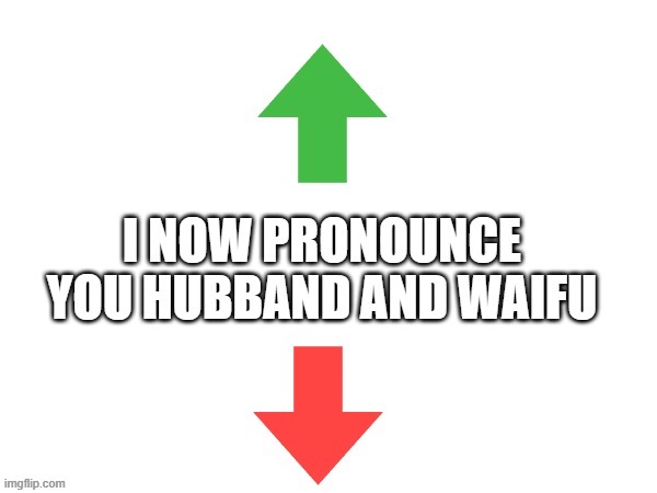 made a (in my opinion (OH LOOK GUYS OPINION SCARY)) better version | image tagged in i now pronounce you hubband and waifu | made w/ Imgflip meme maker