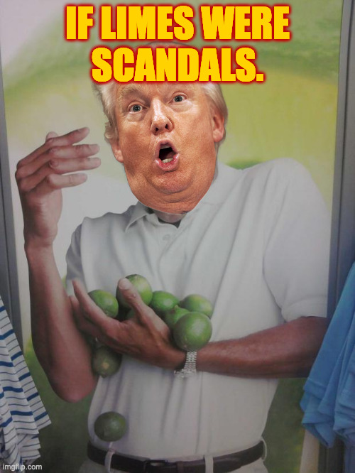 Why am I plagued with so many scandals? | IF LIMES WERE
SCANDALS. | image tagged in memes,why can't i hold all these limes,trump scandals | made w/ Imgflip meme maker