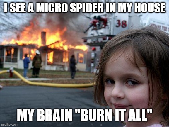 Disaster Girl | I SEE A MICRO SPIDER IN MY HOUSE; MY BRAIN "BURN IT ALL" | image tagged in memes,disaster girl | made w/ Imgflip meme maker