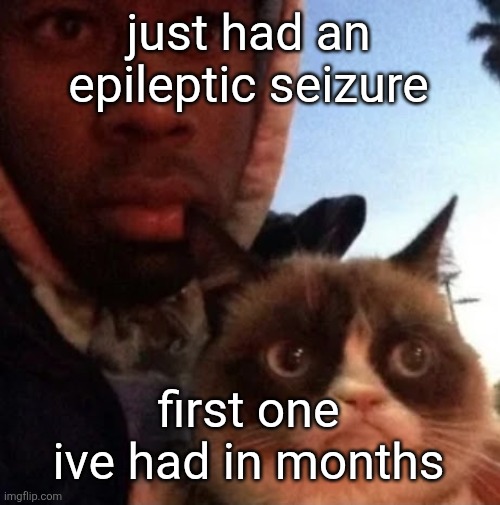 bruh it was cuz of that fuckinf vide9 | just had an epileptic seizure; first one ive had in months | image tagged in tyler the creator and grumpy cat,vid,eo | made w/ Imgflip meme maker