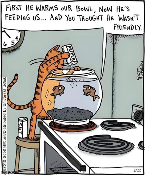 He’s been friendly like that before… | image tagged in cats,comics,fish,preparation | made w/ Imgflip meme maker