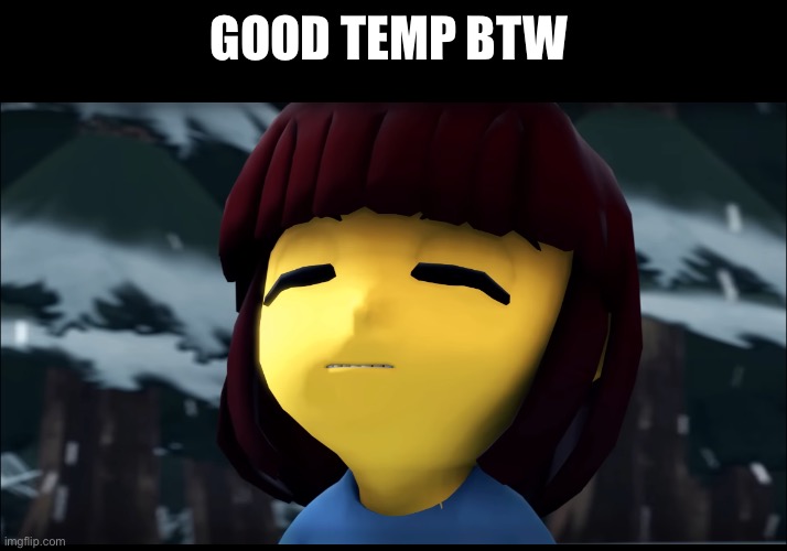 GOOD TEMP BTW | made w/ Imgflip meme maker