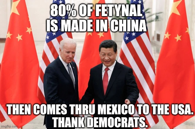 Joe Biden and President Xi of China | 80% OF FETYNAL IS MADE IN CHINA THEN COMES THRU MEXICO TO THE USA.
THANK DEMOCRATS. | image tagged in joe biden and president xi of china | made w/ Imgflip meme maker