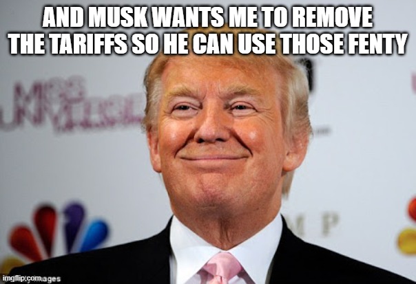 Donald trump approves | AND MUSK WANTS ME TO REMOVE THE TARIFFS SO HE CAN USE THOSE FENTY | image tagged in donald trump approves | made w/ Imgflip meme maker