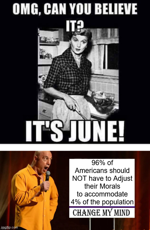 It's June | 96% of Americans should NOT have to Adjust their Morals to accommodate 4% of the population | image tagged in delusional people,not going to embrace it | made w/ Imgflip meme maker