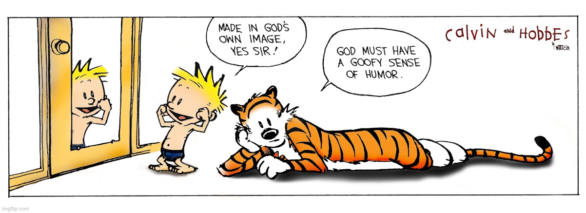 Hobbes calls it like he sees it… | image tagged in calvin and hobbes,comics,pose,mirror | made w/ Imgflip meme maker