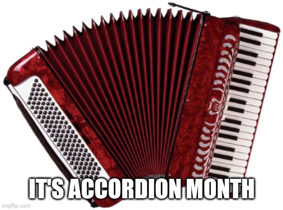 Accordion | IT'S ACCORDION MONTH | image tagged in accordion | made w/ Imgflip meme maker