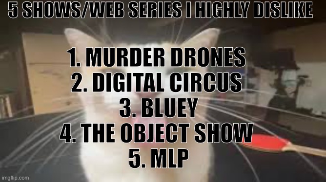 These shows are ass | 5 SHOWS/WEB SERIES I HIGHLY DISLIKE; 1. MURDER DRONES 
2. DIGITAL CIRCUS 
3. BLUEY
4. THE OBJECT SHOW 
5. MLP | image tagged in silly cat | made w/ Imgflip meme maker