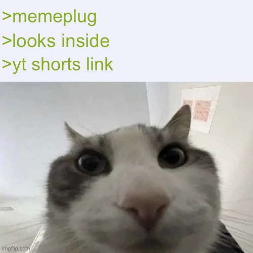 you’re supposed to plug images on this site smh my head | >memeplug; >looks inside; >yt shorts link | image tagged in green text cat | made w/ Imgflip meme maker